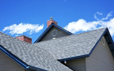 What’s In A Roof?