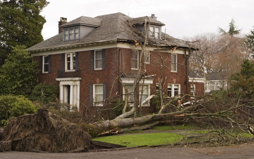 New Jersey home with downed tree and roof storm damage.