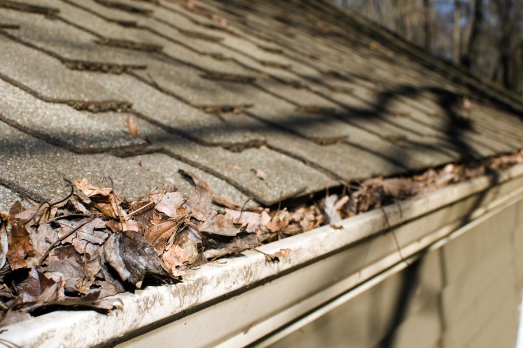 Image of gutters filled with leaves and debris.