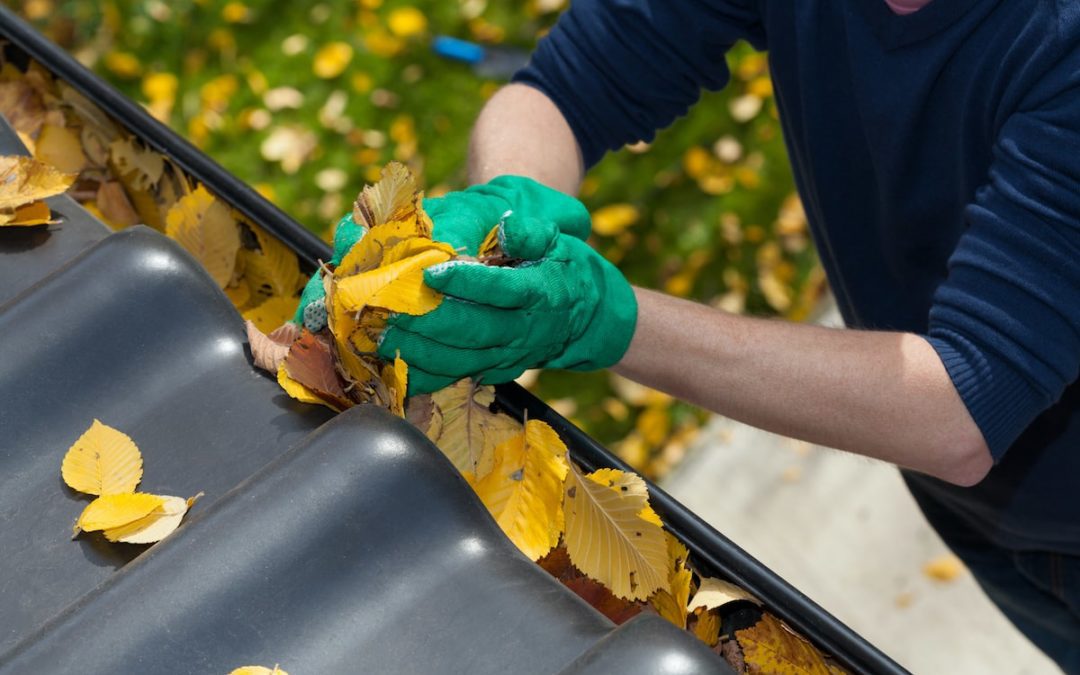 Image of a man cleaning his gutters.