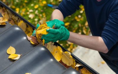 Reduce Risks When Cleaning and Caring for Your Gutters