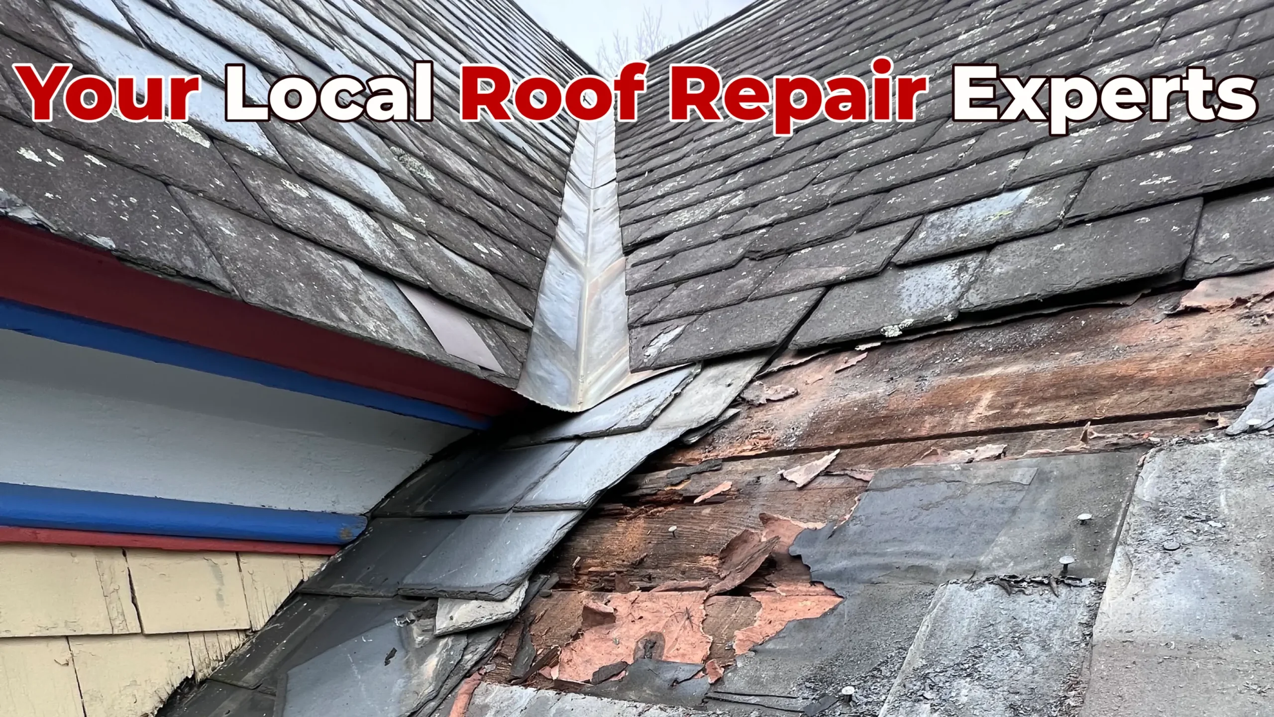Nj Roof Repair by Alte