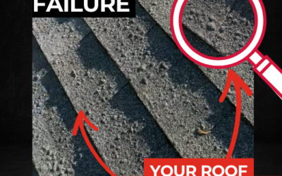 This Roof Failure Happened in Record Time – WHAT EVERY HOMEOWNER NEEDS TO KNOW